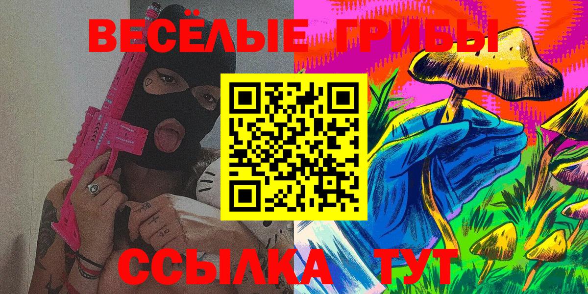 Псилоцибиновые грибы Psilocybine cubensis Новокуйбышевск